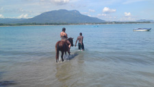 Dominican Republic-Puerto Plata-Full Moon, Beach, and Mountain Riding Adventure